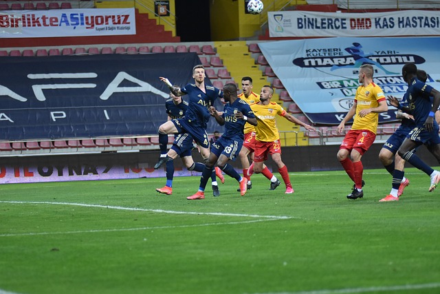 数据显示 数据显示