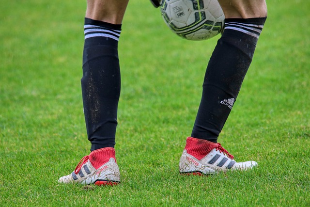 从两队历史 从两队历史