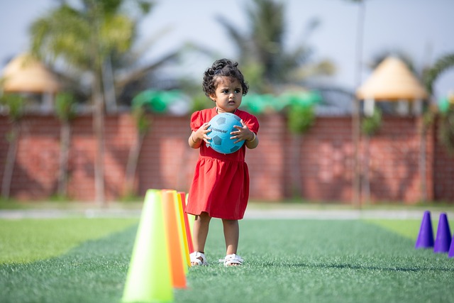 華的陣容 華的陣容