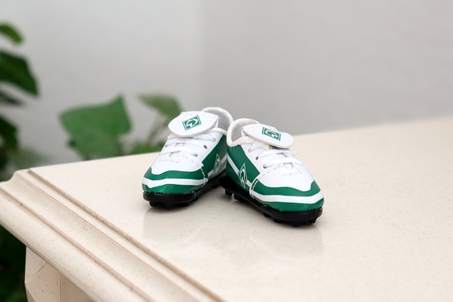 他們擁有年 他們擁有年