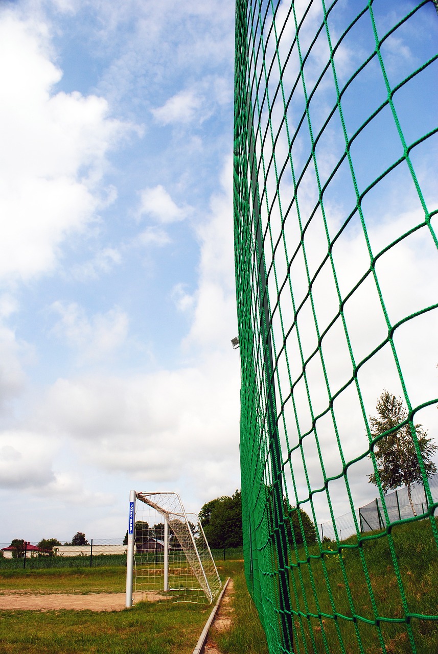 校园体育故事｜九年如一日的坚持,成就乐观而全面发展的“三金王”.