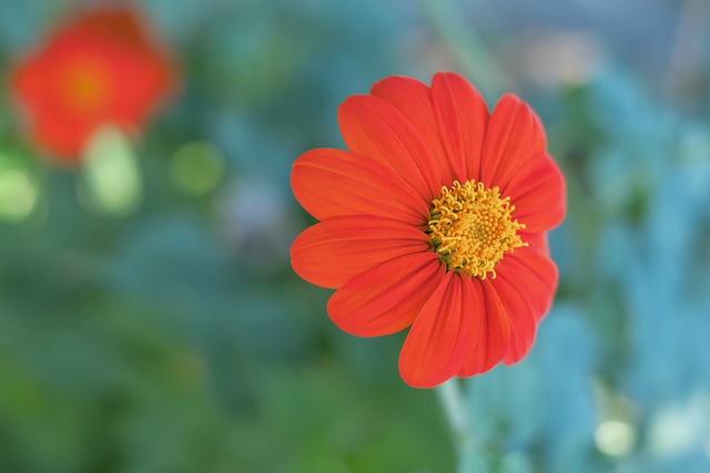 一次巨大推 一次巨大推