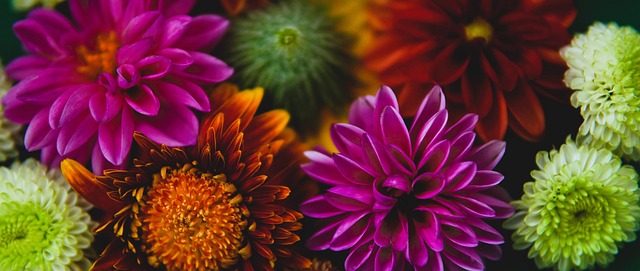 焦点聚集在 焦点聚集在