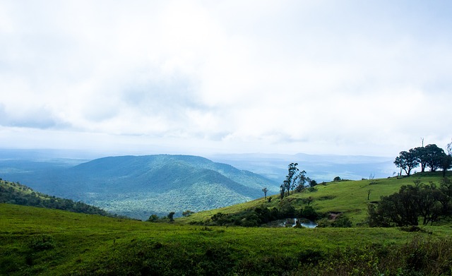 强调快速攻 强调快速攻